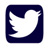 Victory Lap USA on Twitter